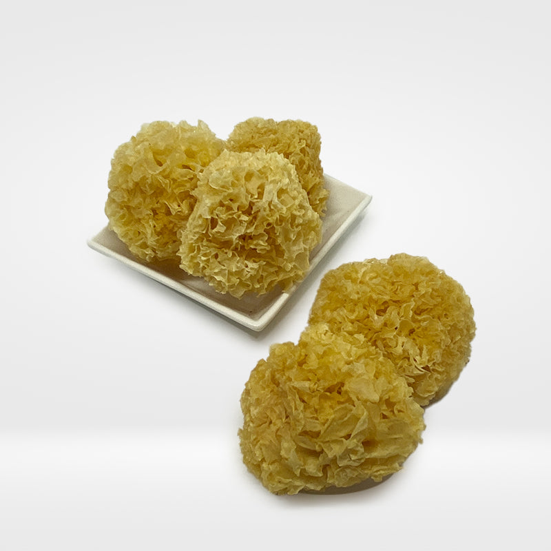Dried Snow Fungus 8 oz