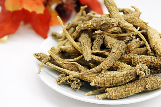 Northern United States and southern Canada Ginseng