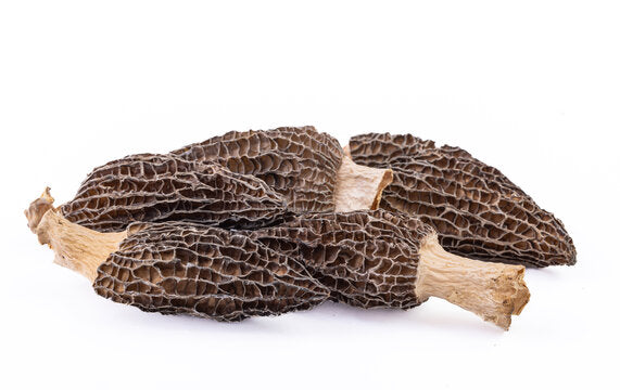 Dried Morel Mushrooms 8 oz