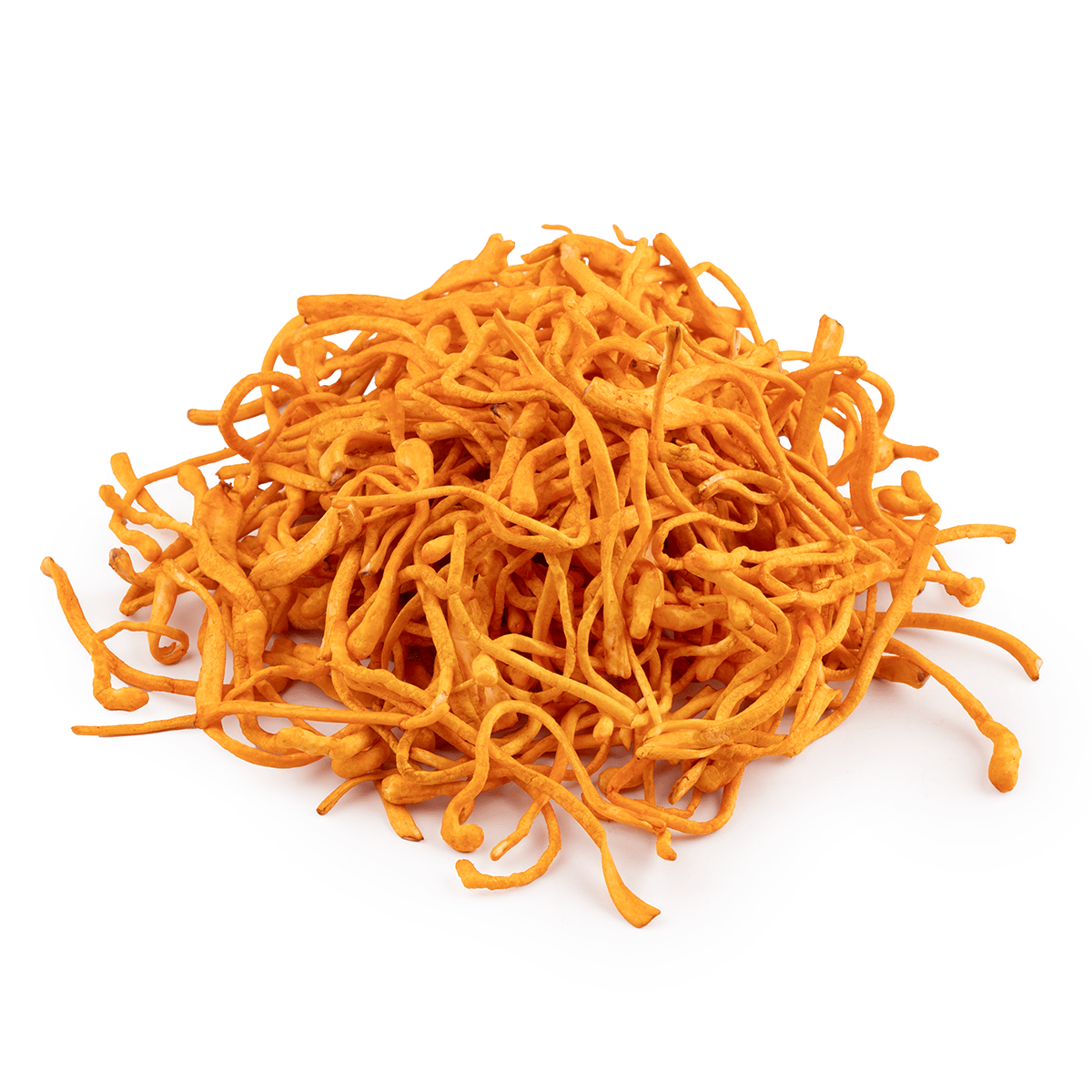 Cordyceps Militaris (Chong Cao Hua) 16 oz