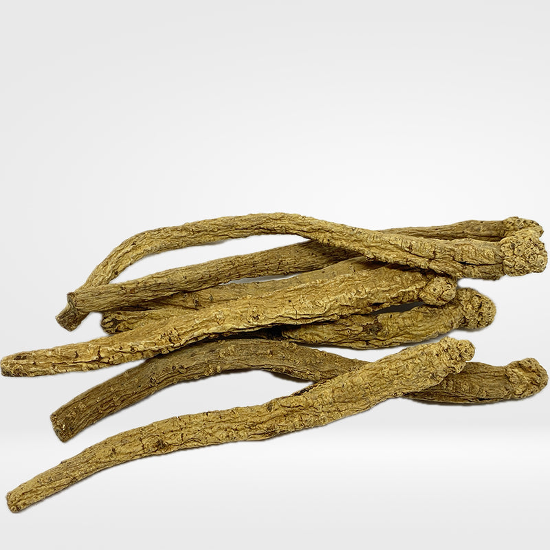 Dried Radix Codonopsis  16 oz