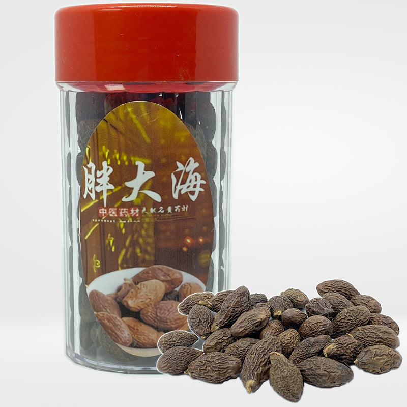 Sterculia Scaphigera (Pang Da Hai) 4oz