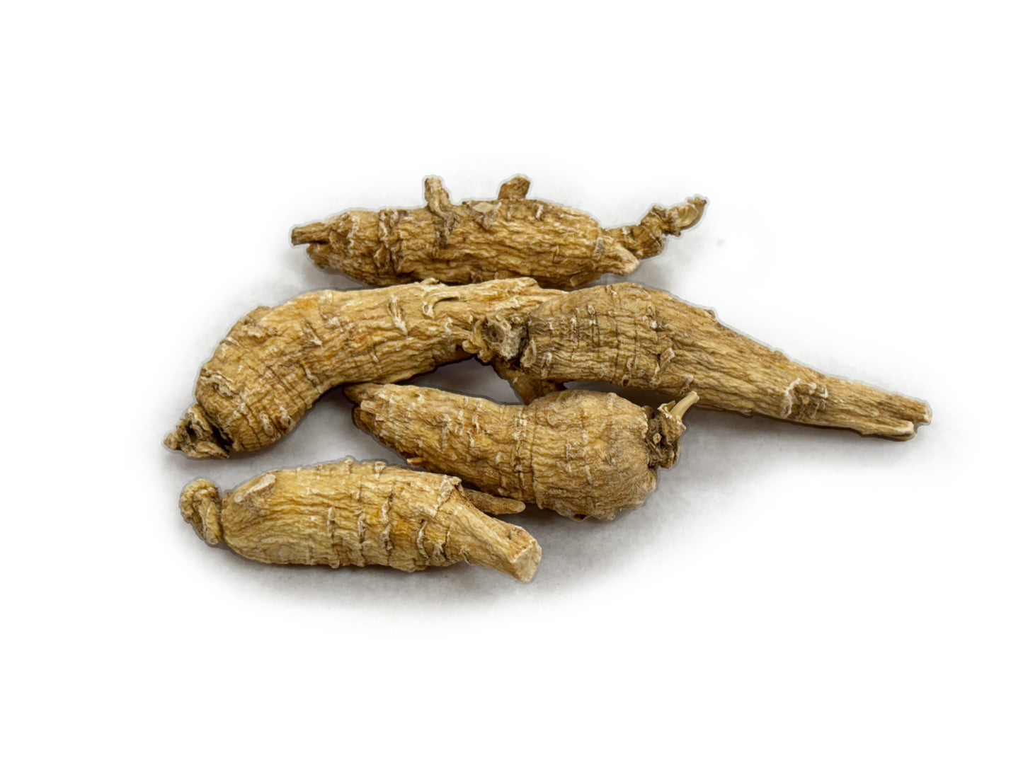 American Ginseng 8 oz